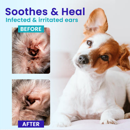 ✨RZXEA™ Pet EarPro Drops FM+| Vet-Grade Relief for Mites, Yeast & Odor ✨