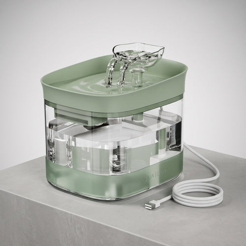 Ultra-Quiet Transparent Pet Water Fountain