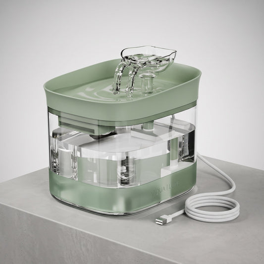 Ultra-Quiet Transparent Pet Water Fountain