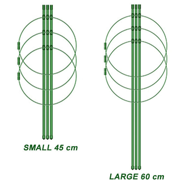 Large