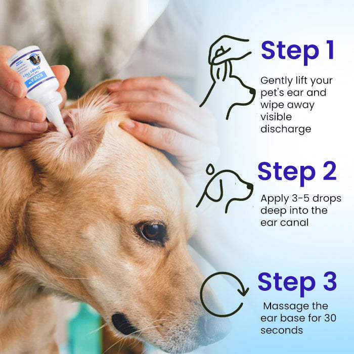 ✨RZXEA™ Pet EarPro Drops FM+| Vet-Grade Relief for Mites, Yeast & Odor ✨